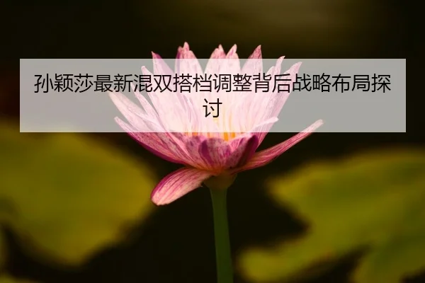 孙颖莎最新混双搭档调整背后战略布局探讨 | Galaxy