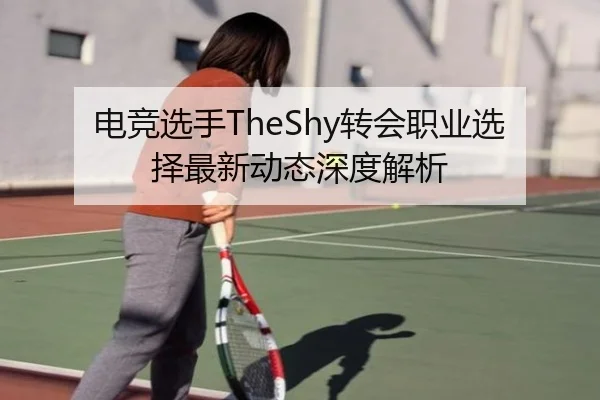 电竞选手TheShy转会职业选择最新动态深度解析 | Galaxy